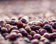 Charger l'image dans la galerie, NYALA (Éthiopie) sachet de 250g