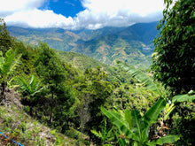 Charger l'image dans la galerie, LA GUACA (Costa Rica) sachet de 250g