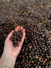 Charger l'image dans la galerie, LA GUACA (Costa Rica) sachet de 250g